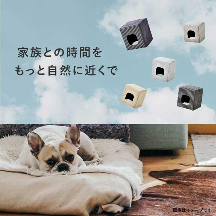 ダイニングチェア スツール チェア 木製 幅 42 cm ペット家具 ペット用品 新生活 コンパクト 天然木 組み立て クッション 来客 クッションカバー 買い替え 送料無料