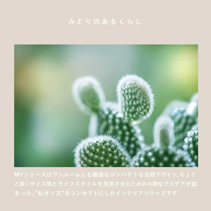 プランターカバー ウッドプランター 鉢カバー 木製 プランツ 植木鉢 ウッドボックス おうち時間 北欧 店舗用 おしゃれ カフェ ガーデニング オーク調 ウォールナット調 新生活 在宅 インテリア 送料無料