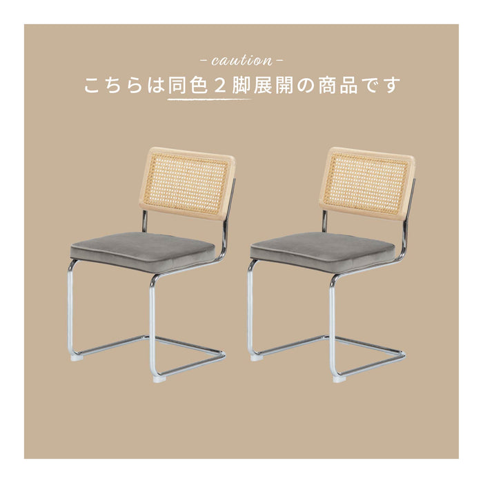 ダイニングチェア 幅46cm 2脚セット ラタン 無垢材 スチール脚 ベルベット モダン