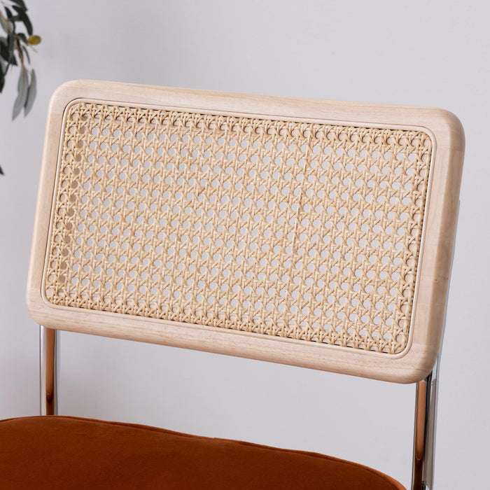 ダイニングチェア 幅46cm 2脚セット ラタン 無垢材 スチール脚 ベルベット モダン