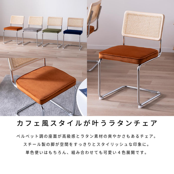 ダイニングチェア 幅46cm 2脚セット ラタン 無垢材 スチール脚 ベルベット モダン