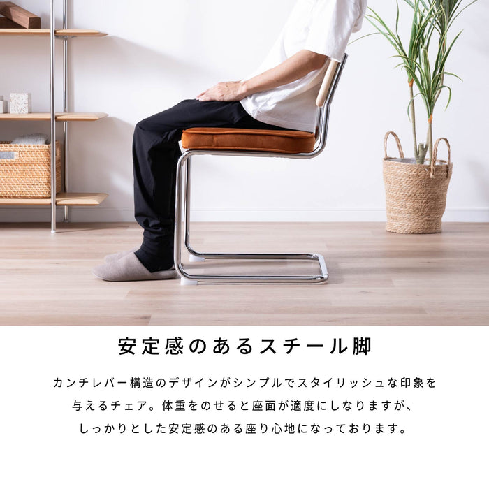 ダイニングチェア 幅46cm 2脚セット ラタン 無垢材 スチール脚 ベルベット モダン