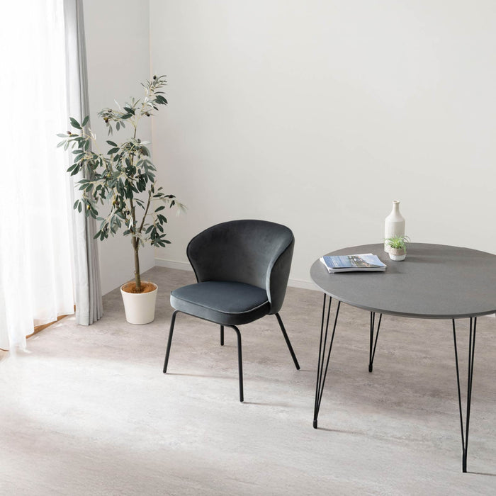 ダイニングチェア 幅57cm  ファブリック アイアン脚 モダン